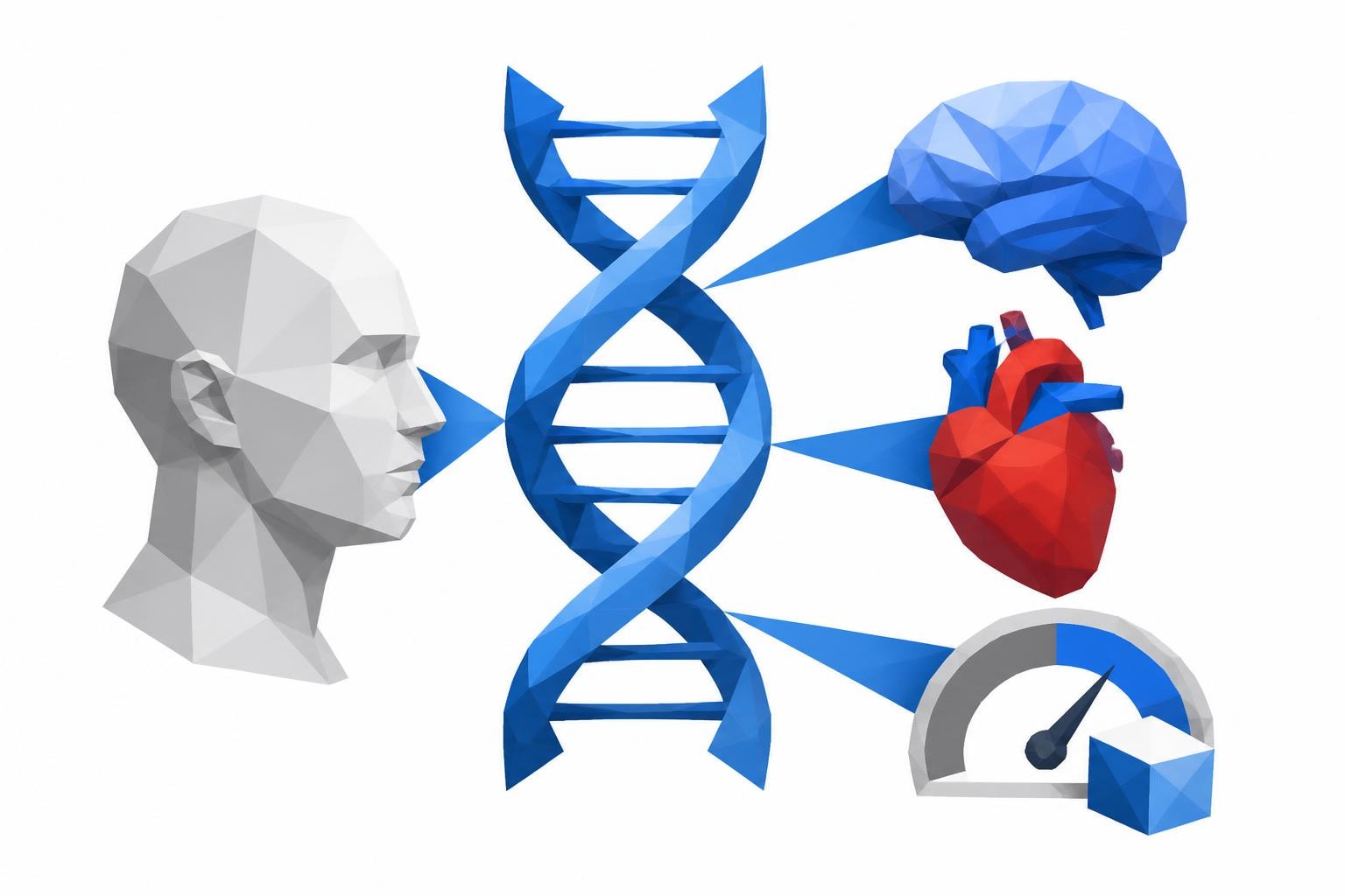 APOE Genotype Alzheimer: Understanding Your Genetic Risk