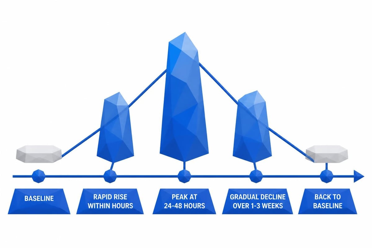 Infection hs-CRP timeline