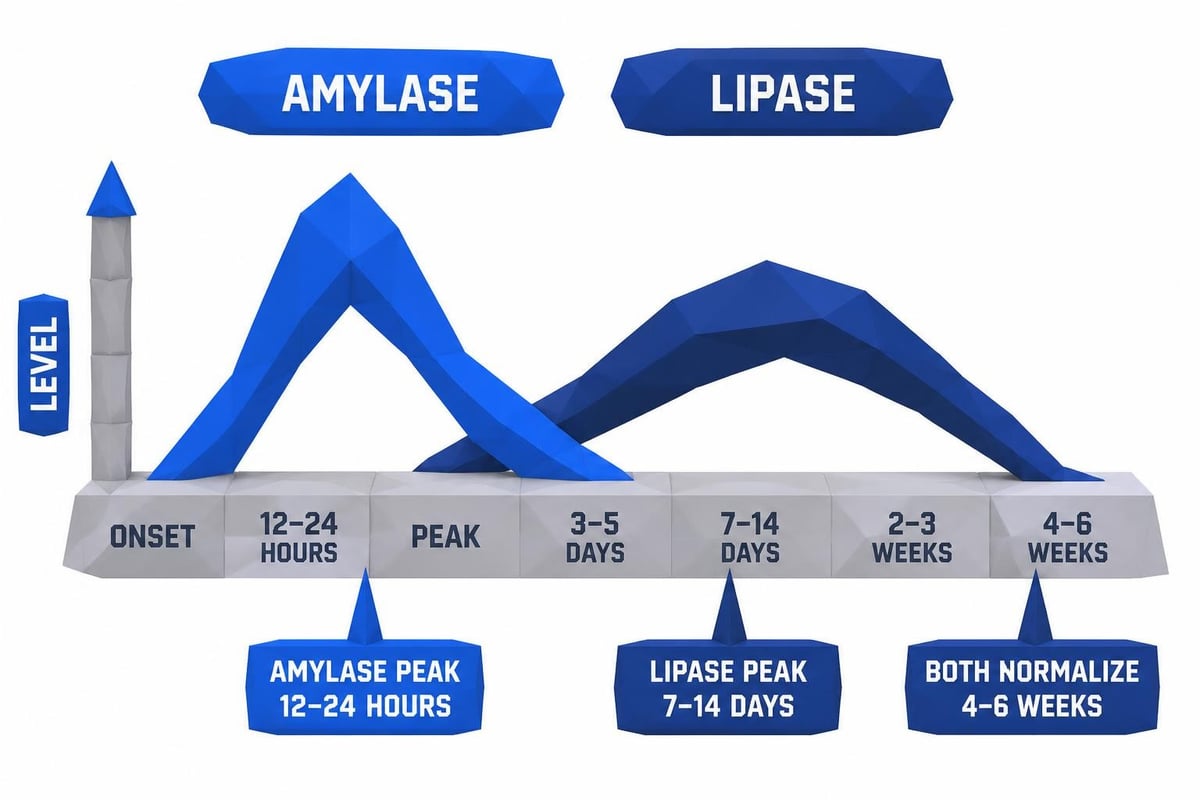 Pancreatic marker interpretation timeline