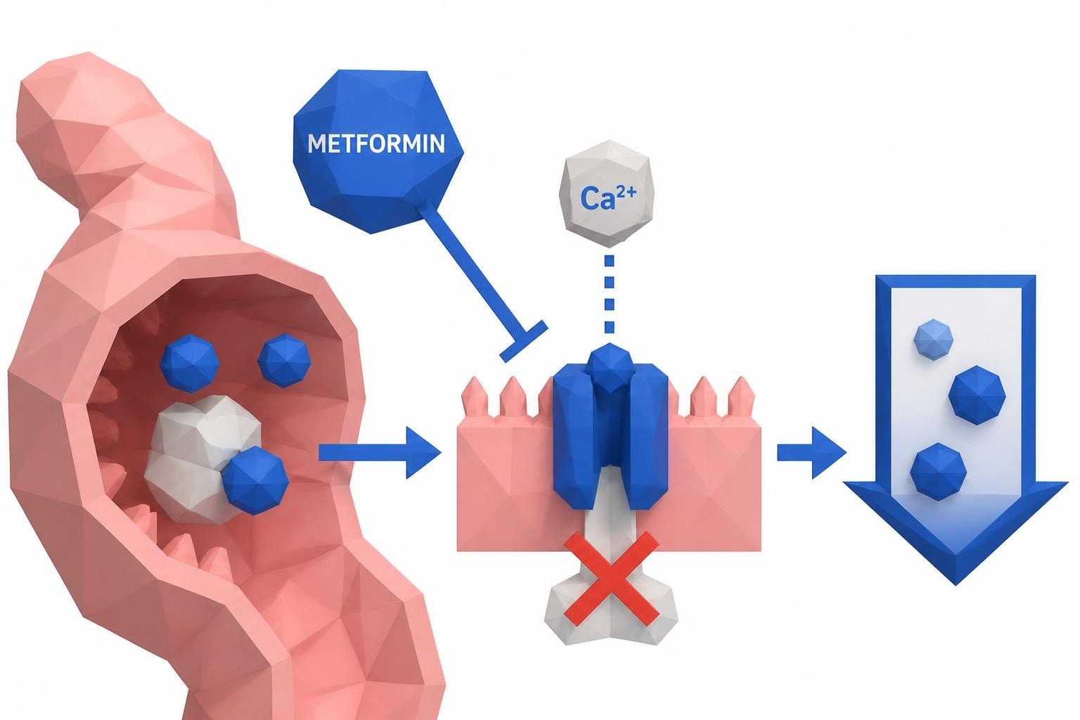 Metformin B12 Deficiency Test: What You Need to Know