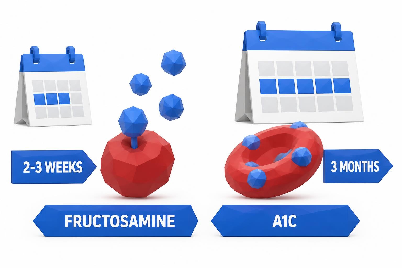 Fructosamine: A 2-3 Week Glucose Test When A1C Won't Work