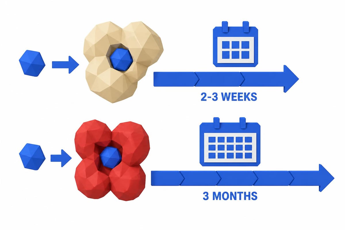 Fructosamine formation timeline