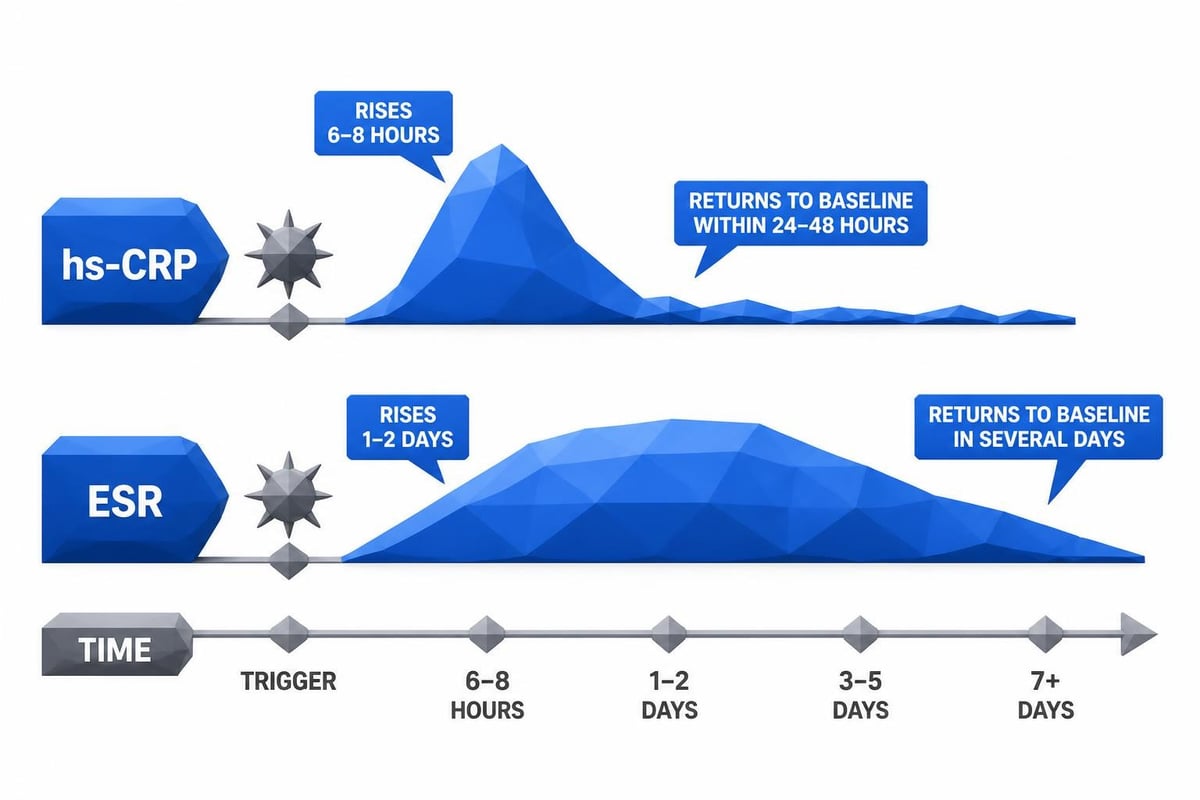 Inflammation response timeline
