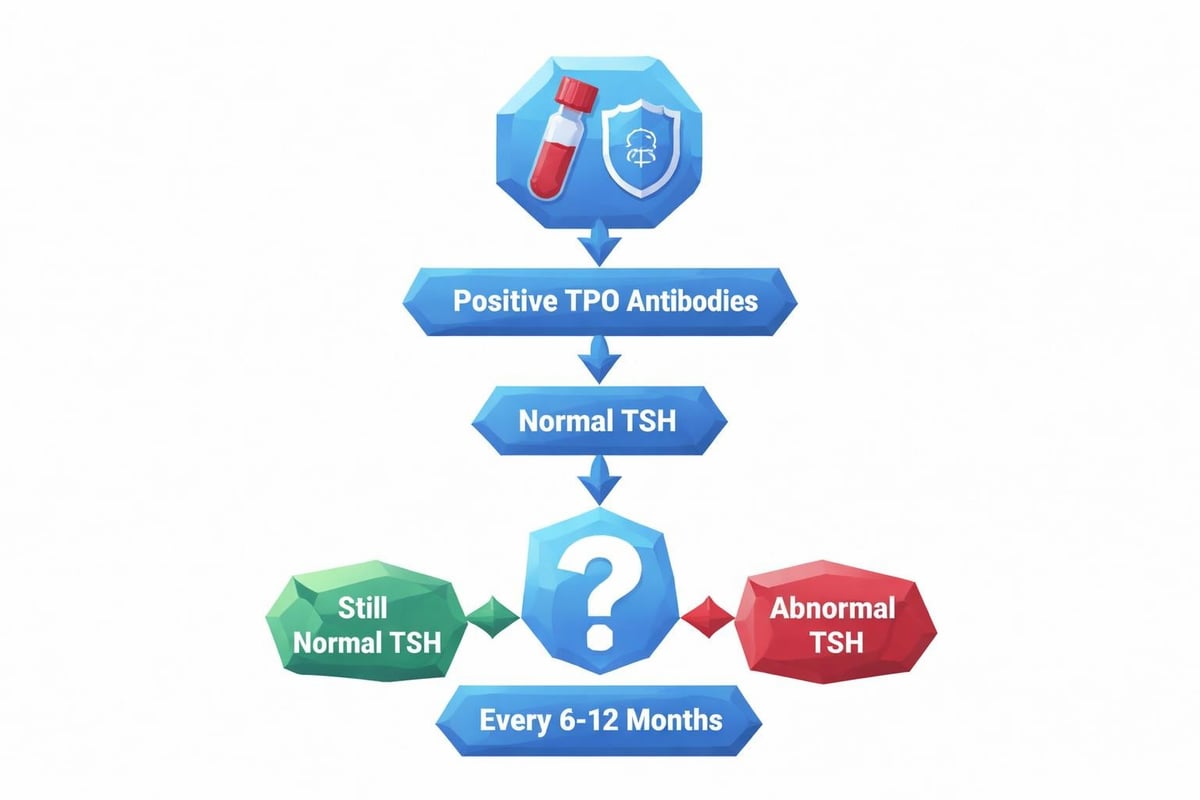 Thyroid monitoring timeline