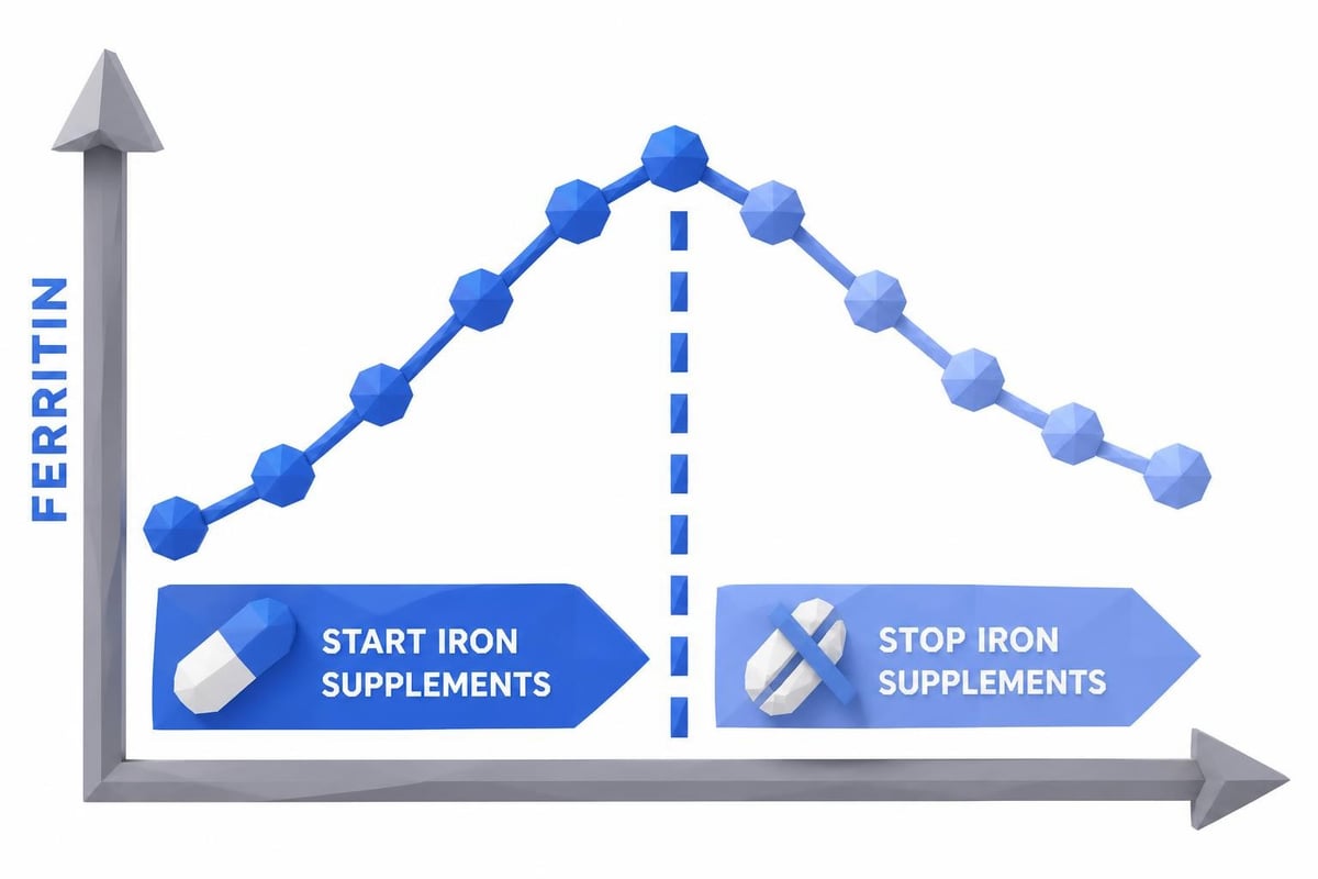 Timeline of ferritin changes with oral iron supplementation