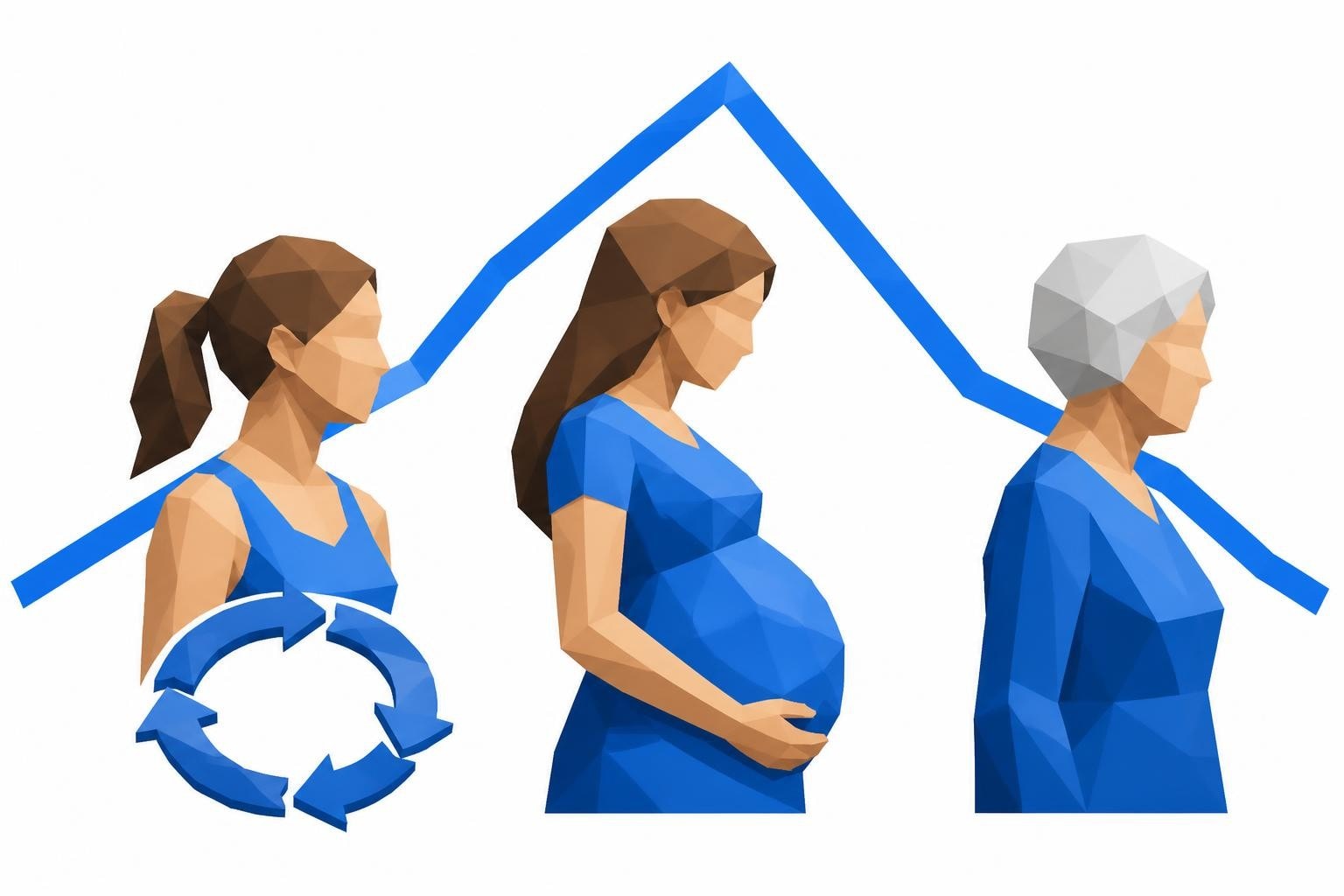 Estradiol Levels: Cycle, Pregnancy & Menopause