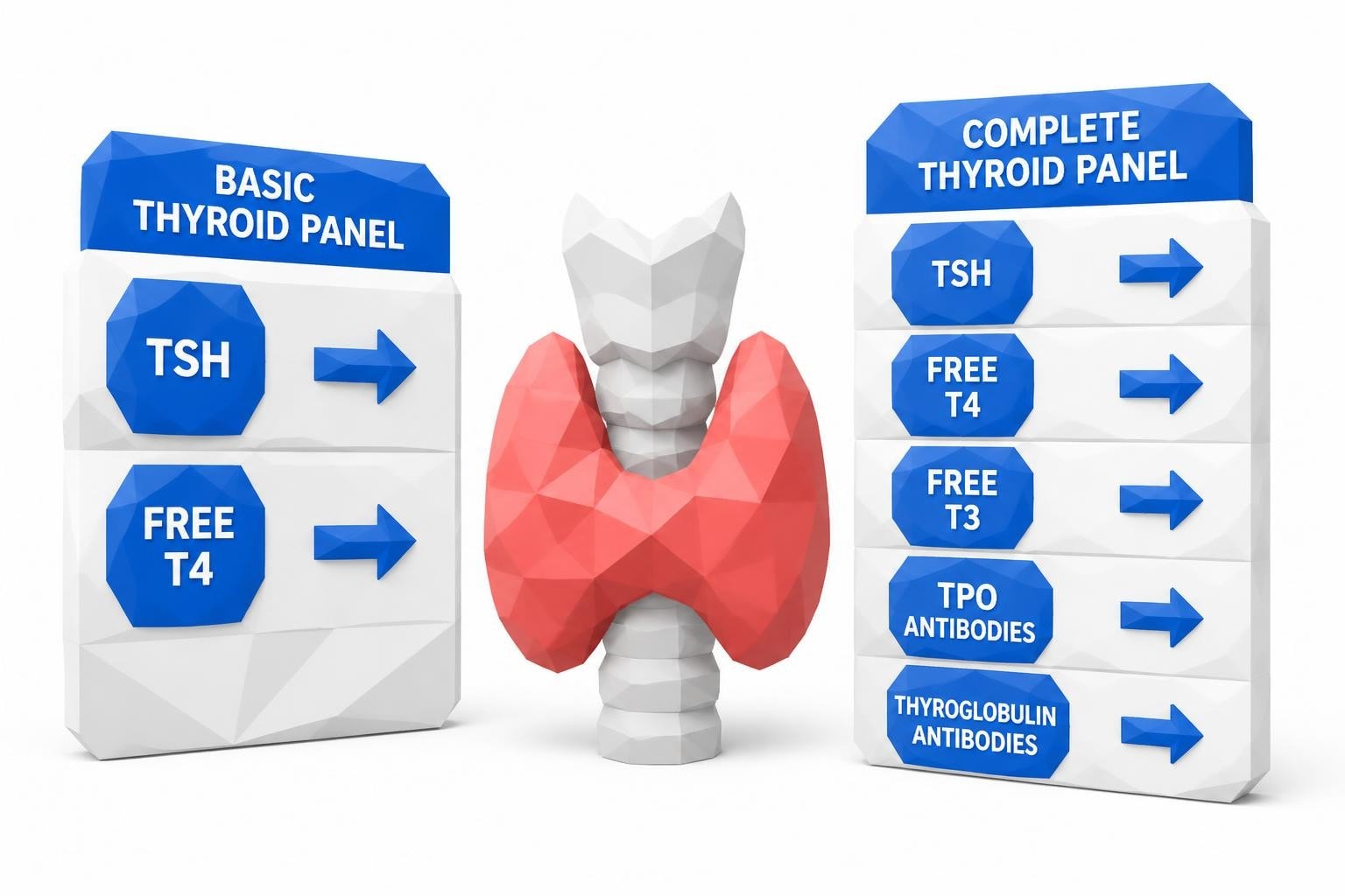 Basic vs Complete Thyroid Panels: Which Test Is Right?