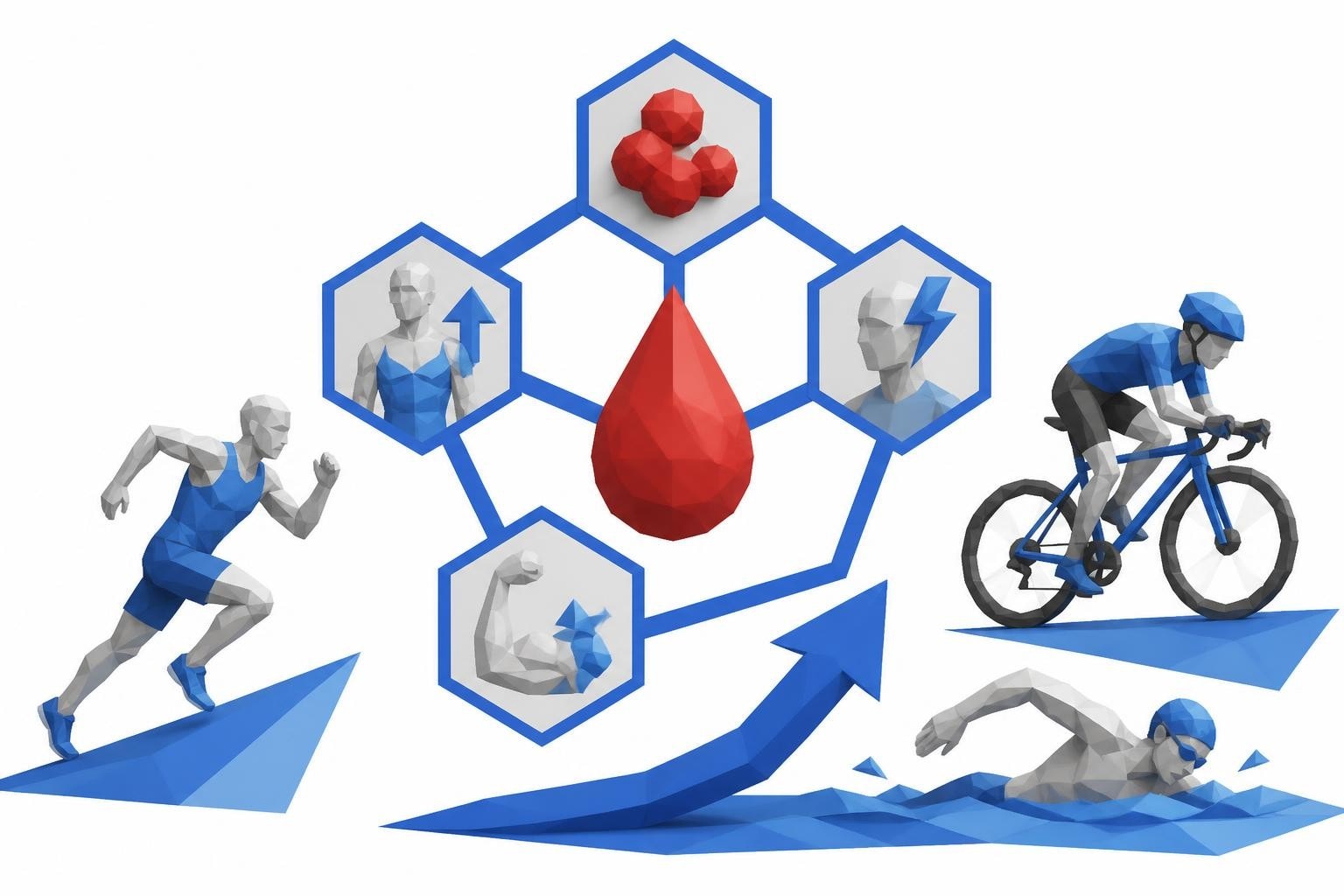 Blood Tests for Endurance Athletes: Essential Guide