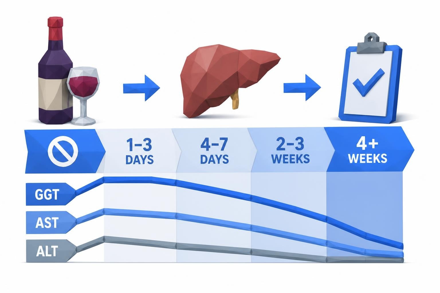 Alcohol Before Liver Function Test: What You Need to Know