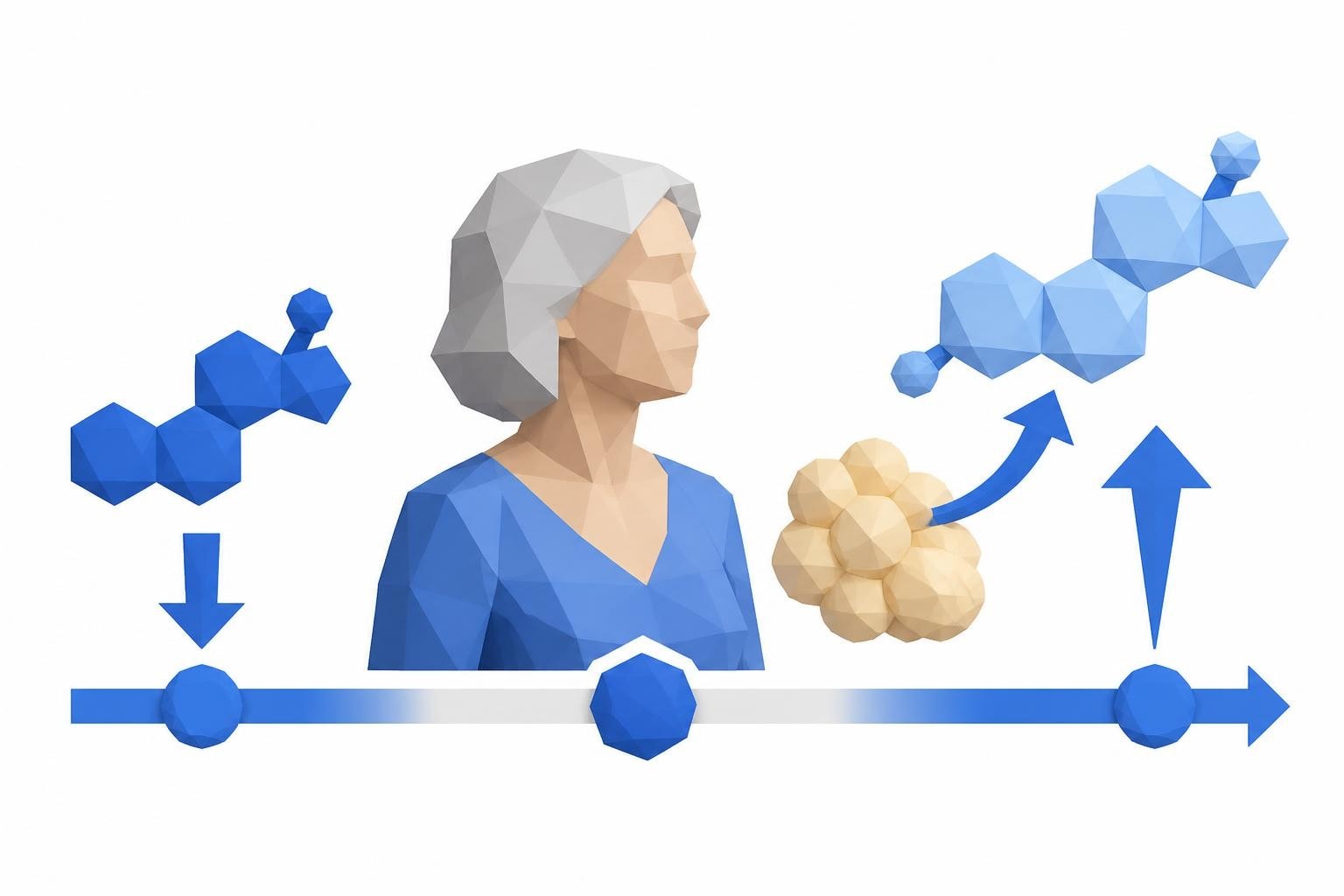 Estrone and Hormone Health After Menopause in 2026