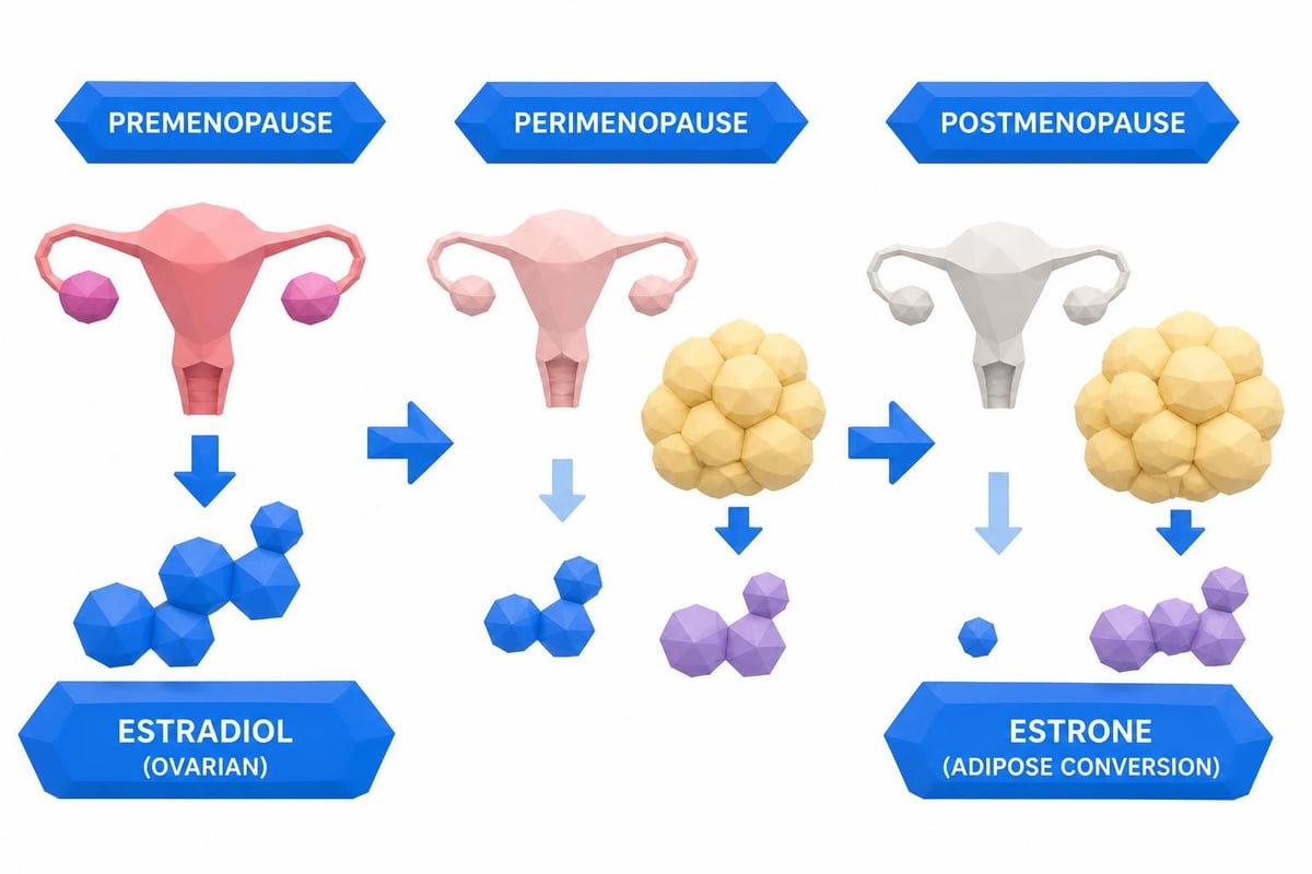 Estrogen production shift