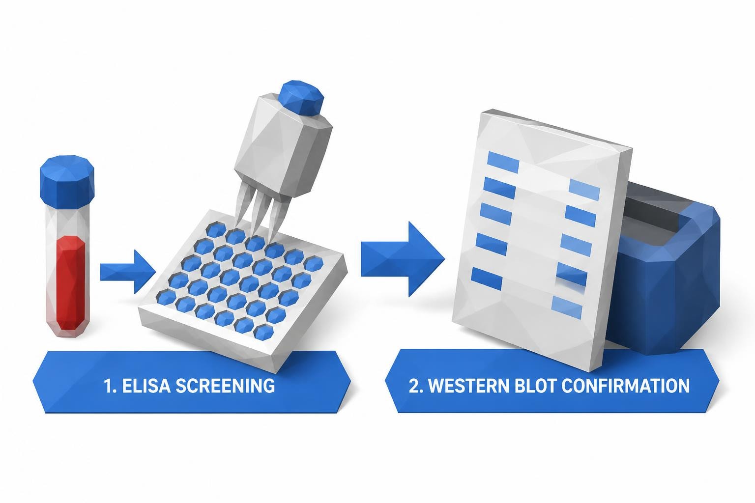 Lyme Disease Antibody Testing: The Two-Tier Approach